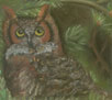 owl-pastel