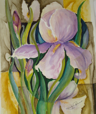 Purple Iris